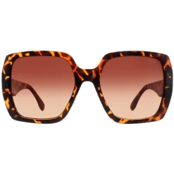 Atum Sunglasses Zouk C2 Shiny Havana Brown Gradient