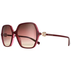 Bvlgari Sunglasses BV8238B 5469E2 Bordeaux on Transparent Red Brown Pu