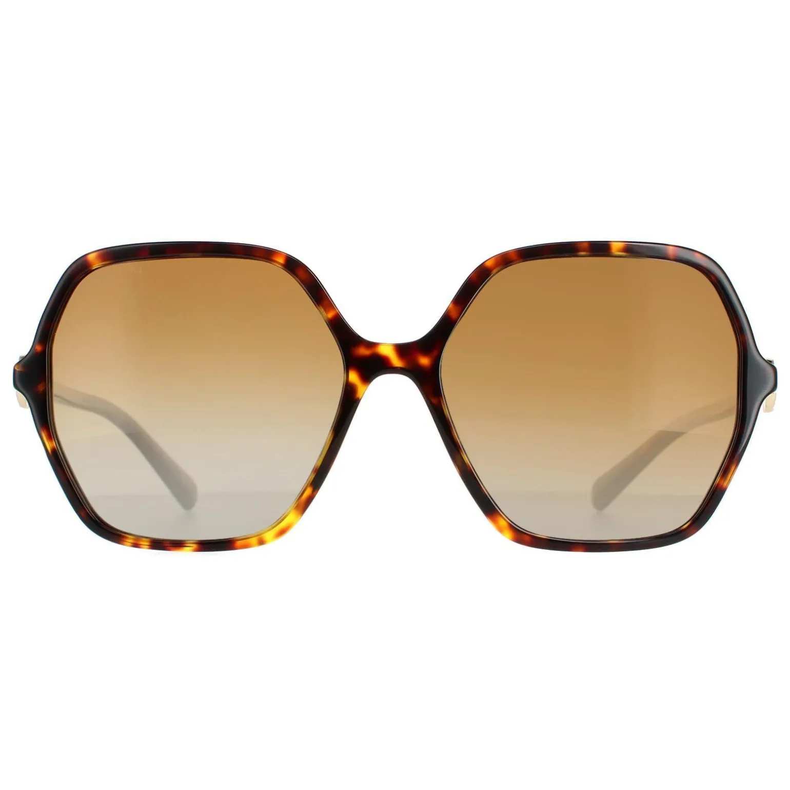 Bvlgari Sunglasses BV8238B 504/T5 Havana Brown Gradient Polarized