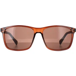 Calvin Klein Sunglasses CK19568S 210 Crystal Brown Brown
