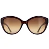 Calvin Klein Sunglasses CK19536S 210 Crystal Brown Brown