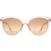 Calvin Klein Sunglasses CK19534S 270 Crystal Beige Brown Gradient