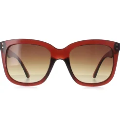 Calvin Klein Sunglasses CK22550S 210 Transparent Brown Brown Gradient