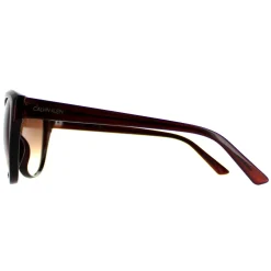 Calvin Klein Sunglasses CK19536S 210 Crystal Brown Brown
