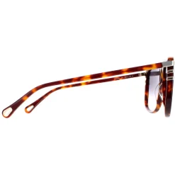 Chloe Sunglasses CH0104S 007 Shiny Medium Havana Grey Gradient