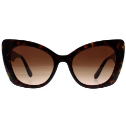 Dolce & Gabbana Sunglasses DG4405 502/13 Havana Brown Gradient
