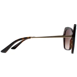 Dolce & Gabbana Sunglasses DG4399 502/13 Havana Brown Gradient