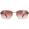 Duck and Cover Sunglasses DCS012 C1 Brown Brown Gradient