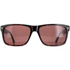 Duck and Cover Sunglasses DCS026 C2 Havana Brown