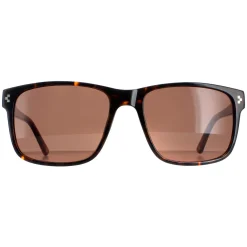 Duck and Cover Sunglasses DCS025 C2 Havana Brown