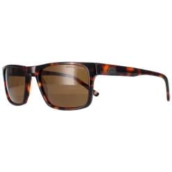 Duck and Cover Sunglasses DCS032 C2 Havana Brown