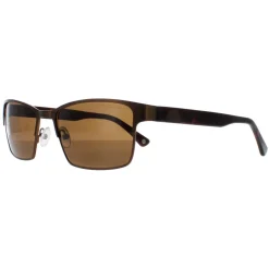Duck and Cover Sunglasses DCS030 C2 Brown Black Brown