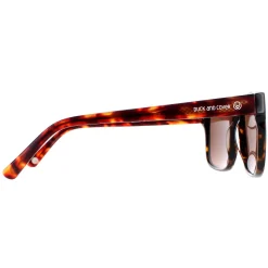 Duck and Cover Sunglasses DCS025 C2 Havana Brown