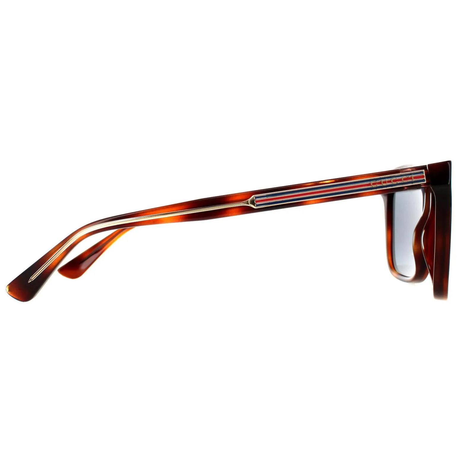 Gucci Sunglasses GG0381SN 009 Havana Blue