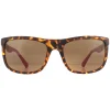 Guess Sunglasses GU6843 52H Dark Havana Brown Polarized
