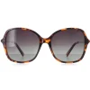 INVU Sunglasses B2133 B Demi Tortoise Brown Brown Polarized