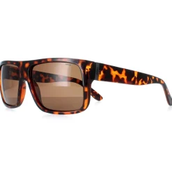 INVU Sunglasses B2130 B Demi Tortoise Brown Brown Polarized