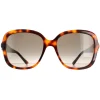 Jimmy Choo Sunglasses SADIE/S 086 HA Havana Brown Gradient