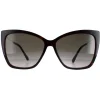 Jimmy Choo Sunglasses Seba/S 086/HA Dark Havana Brown Gradient