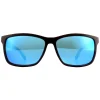 Lacoste Sunglasses L705S 234 Brown Blue Blue