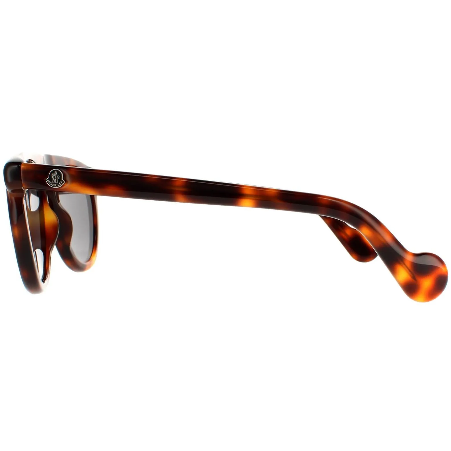 Moncler Sunglasses ML0100 52A Dark Havana Grey