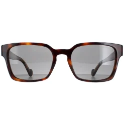 Moncler Sunglasses ML0143 56A Havana Grey