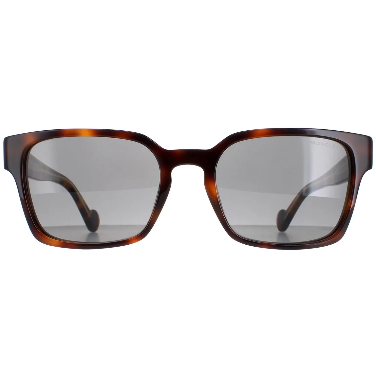 Moncler Sunglasses ML0143 56A Havana Grey