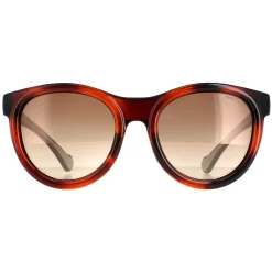 Moncler Sunglasses ML0087 53G Dark Tortoise Havana Brown