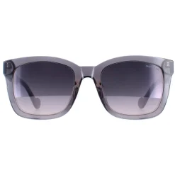 Moncler Sunglasses ML0113-K 20C Shiny Transparent Grey Grey Gradient