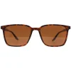 Montana Sunglasses MP186 C Turtle Brown Polarized