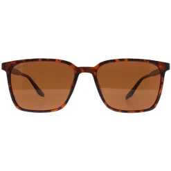 Montana Sunglasses MP186 C Turtle Brown Polarized