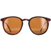 Montana Sunglasses MP33 E Havana Rubbertouch Brown Polarized