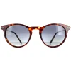 Polar Sunglasses York COL.428 Havana Grey Brown Polarized