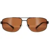 Polaroid Premium Sunglasses X4404 B9W OX Gunmetal Copper AR Polarized