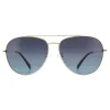 Polaroid Sunglasses PLD 2083/G/S J5G WJ Gold Grey Gradient Polarized