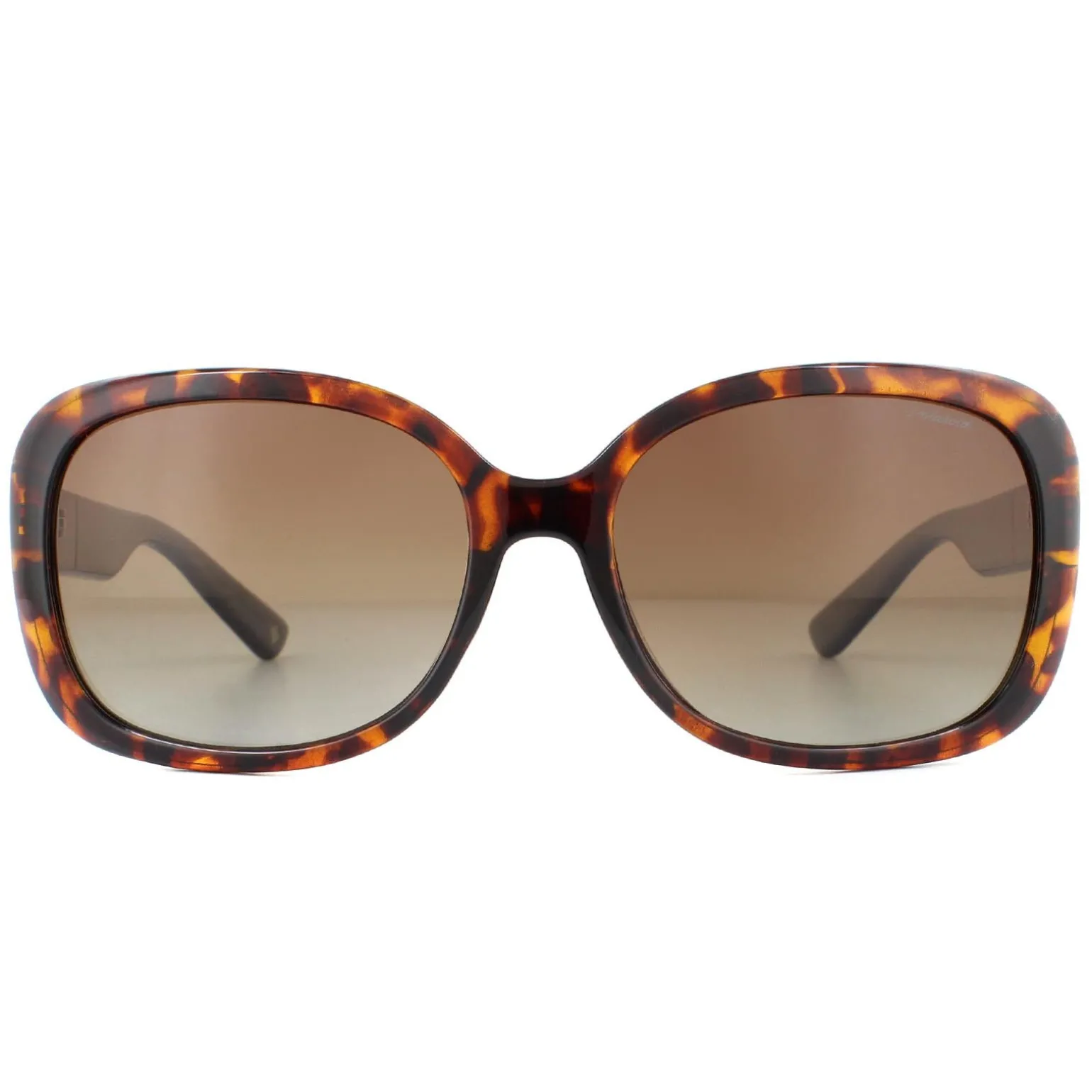 Polaroid Sunglasses PLD 4069/G/S/X 086 LA Havana Brown Gradient Polari