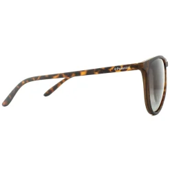 Polaroid Sunglasses PLD 6003/N/S V08 LA Havana Brown Gradient Polarize