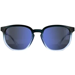 Polaroid Sunglasses PLD 2095/S 2M0 5X Shaded Grey Blue Polarized