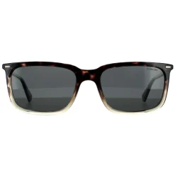 Polaroid Sunglasses PLD 2117/S AB8 M9 Havana Grey Grey Polarized