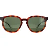 Polaroid Sunglasses PLD 2095/S 086 UC Havana Green Polarized