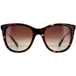Polaroid Sunglasses PLD 4096/S/X 086 LA Havana Brown Brown Gradient Po