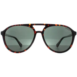 Polaroid Sunglasses PLD 4162/S 086 UC Havana Green Polarized