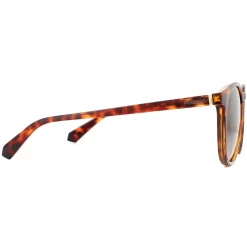 Polaroid Sunglasses PLD 6098/S 086 LA Havana Brown Gradient Polarized