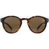 Polaroid Sunglasses 6042/S 086 SP Dark Havana Bronze Polarized