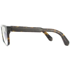 Police Sunglasses Lewis 15 SPLB31 0722 Shiny Havana Clear