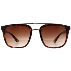 Police Sunglasses SPLB41 Origins 35 0722 Havana and Gold Brown Gradien