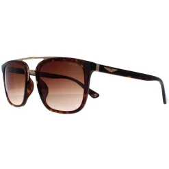 Police Sunglasses SPLB41 Origins 35 0722 Havana and Gold Brown Gradien