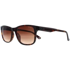 Police Sunglasses SPLB40N Arcade 2 0722 Shiny Dark Havana Brown Gradie