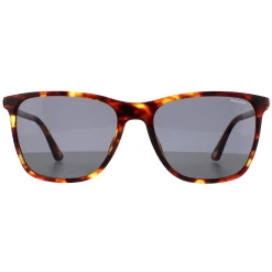 Police Sunglasses SPLD45 Origins 46 08XW Medium Shiny Havana Grey Gree