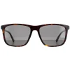 Police Sunglasses SPLE05M 0722 Dark Havana Grey Green